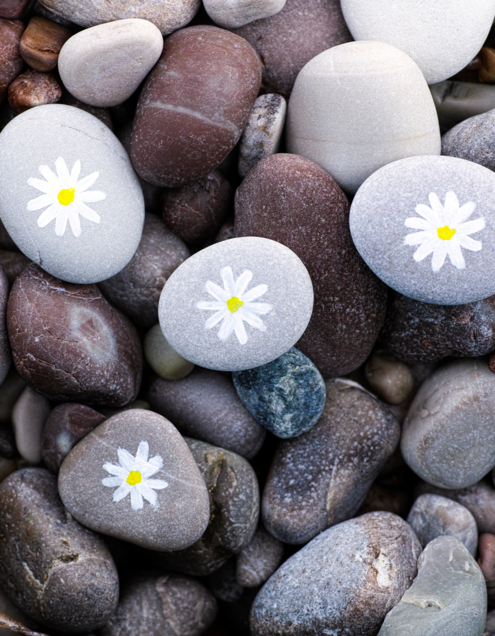 Smooth gray and brown rocks piled together. A few of the gray rocks have daisies painted on them.