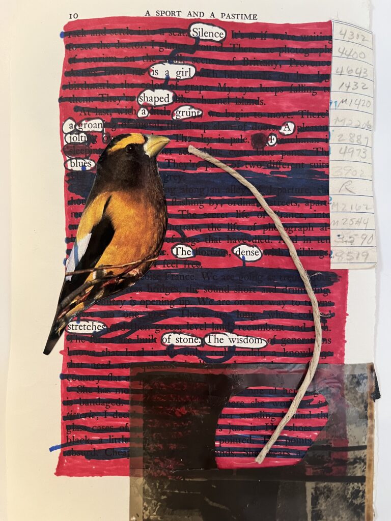 The background is a yellowed page from A Sport and a Pastime by James Salter. This background text has been both blacked out and colored in with a maroon Sharpie to highlight the excavated visual poem. Superimposed over the text is a goldfinch who appears to be speaking through a thin line of hemp which has has been collaged to the right of the bird. In the upper right corner is a series of numbers from an old library card. At the bottom of the page is an old piece of celluloid which resembles a retro TV set. The hemp appears to connect the TV set & the bird like part of a rabbit-ears antenna.  