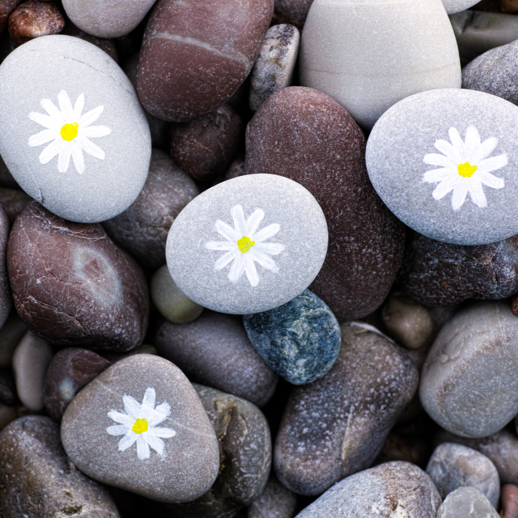 Smooth gray and brown rocks piled together. A few of the gray rocks have daisies painted on them.
