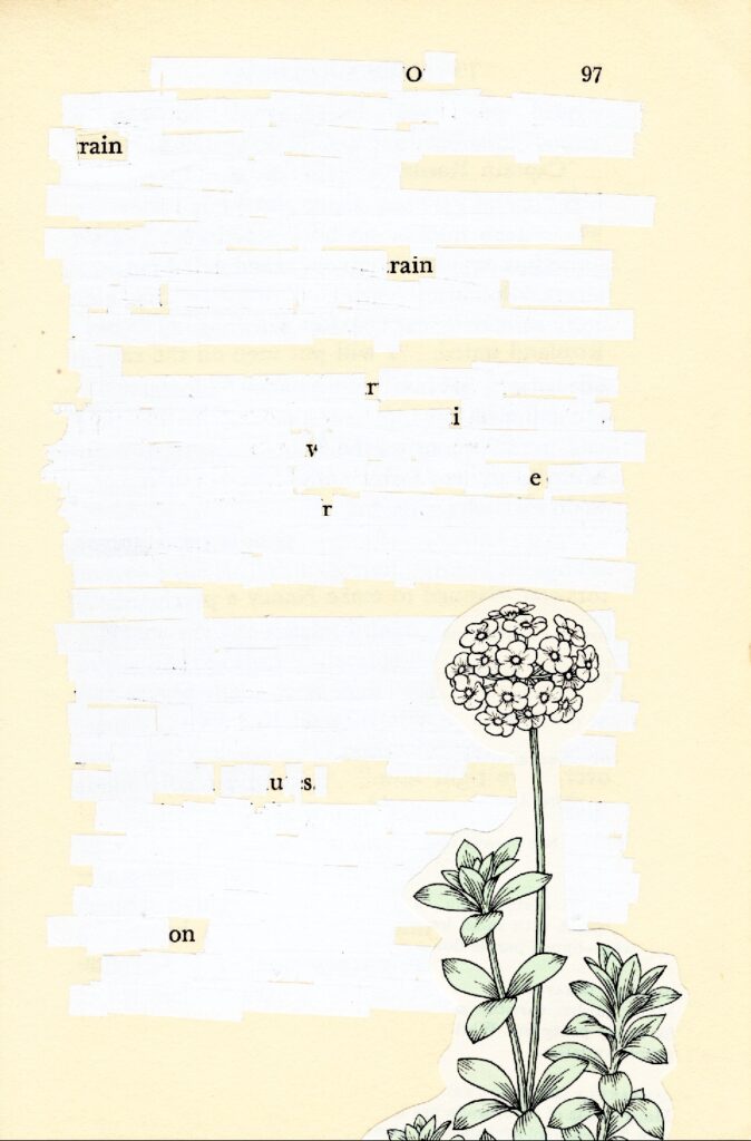 All but the page number, 97, and six of the words on an old cream-colored book page have been obscured by white liquid paper correction tape. Affixed to the bottom right edge of the page is an illustration of a large hydrangea blossom in black, white, and soft green.

The words that remain unobscured read:

O
rain
rain

r i v e r
us
on
