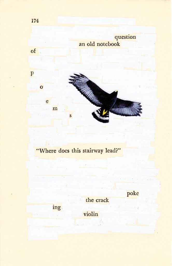 All but the page number, 174, and fifteen of the words on an old cream-colored book page have been obscured by white liquid paper correction tape. Near the center of the page, adjacent to the word “p o e m s” is an illustration of a large black bird in flight with broad black and white wings. It is affixed to a spot on the page that has been entirely whited out.

The words that remain unobscured read:

question
an old notebook
of
p o e m s

“Where does this stairway lead?”

poke
the crack
ing
violin